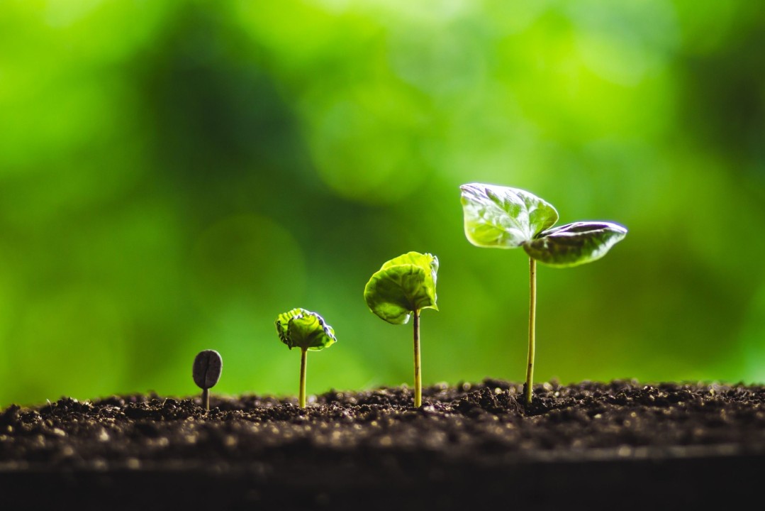 Atomic Habits #6 – Designing Your Environment for Success