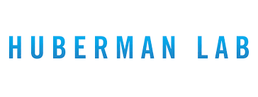 Podcast of the Week #2 – Huberman Lab: Sleep