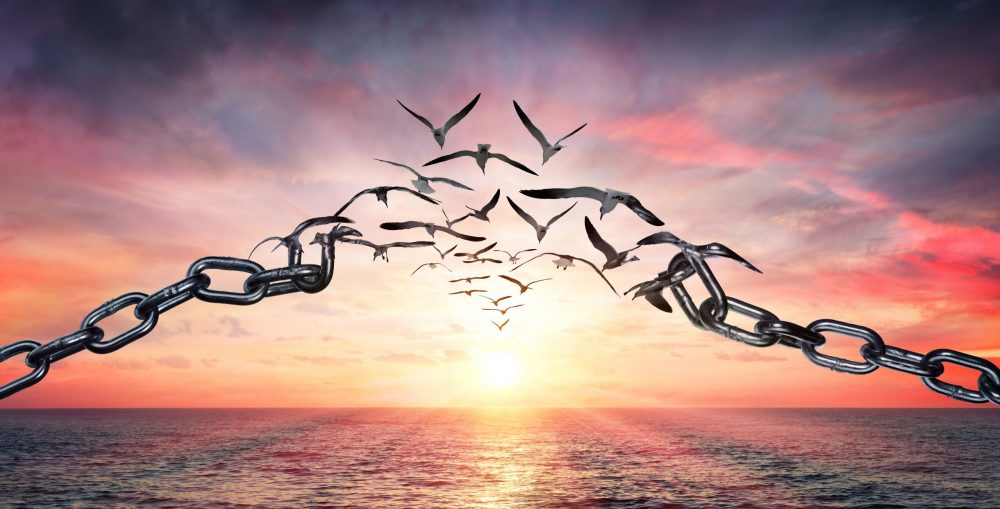 Challenge of the Week #6 – The Power of Forgiveness